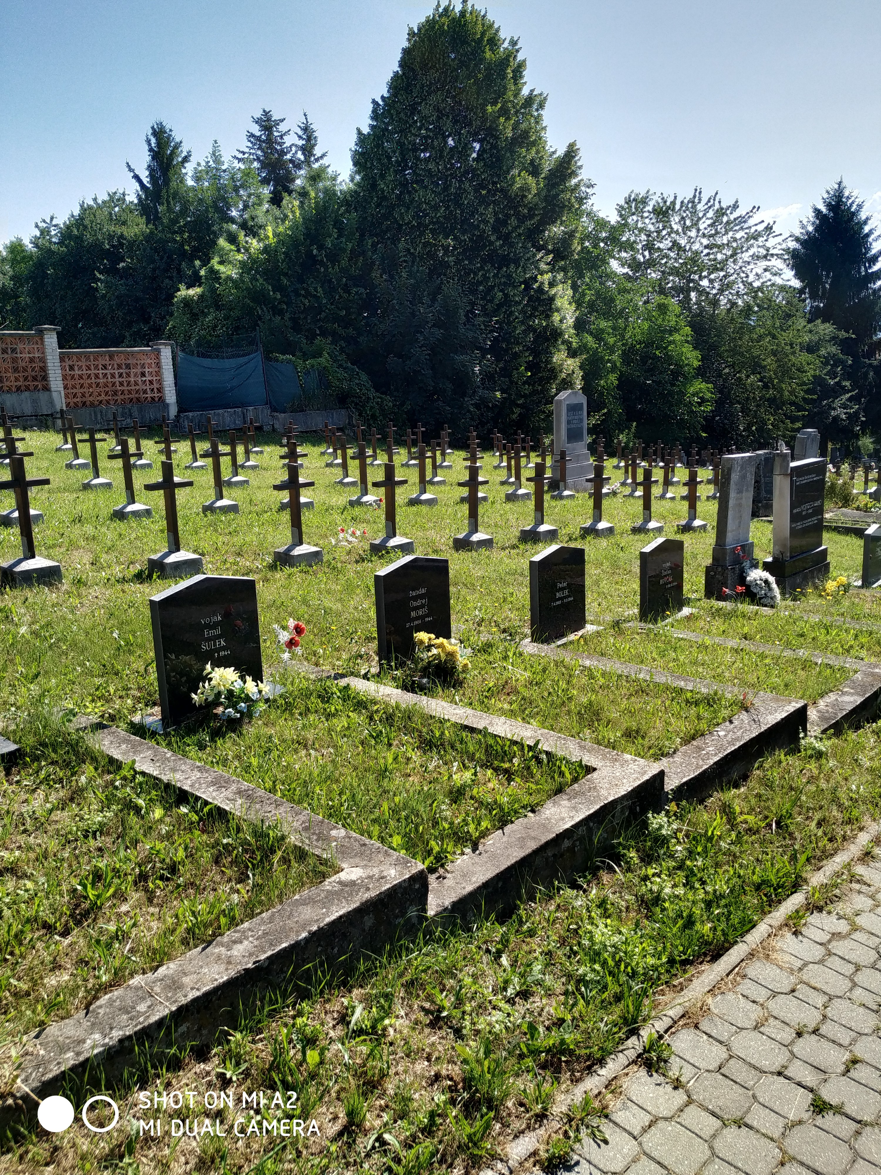 Čistenie Cintorín nám. Š. Moysesa Banská Bystrica